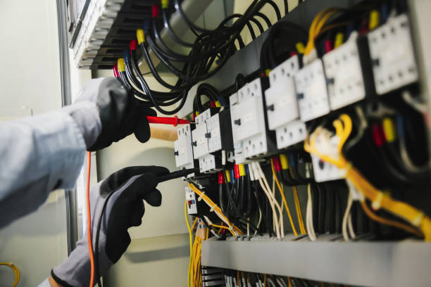 Best Electrical Panel Upgrades  in Astor, FL