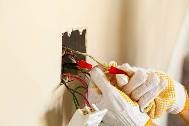 Best Emergency Electrical Repair Services  in Astor, FL